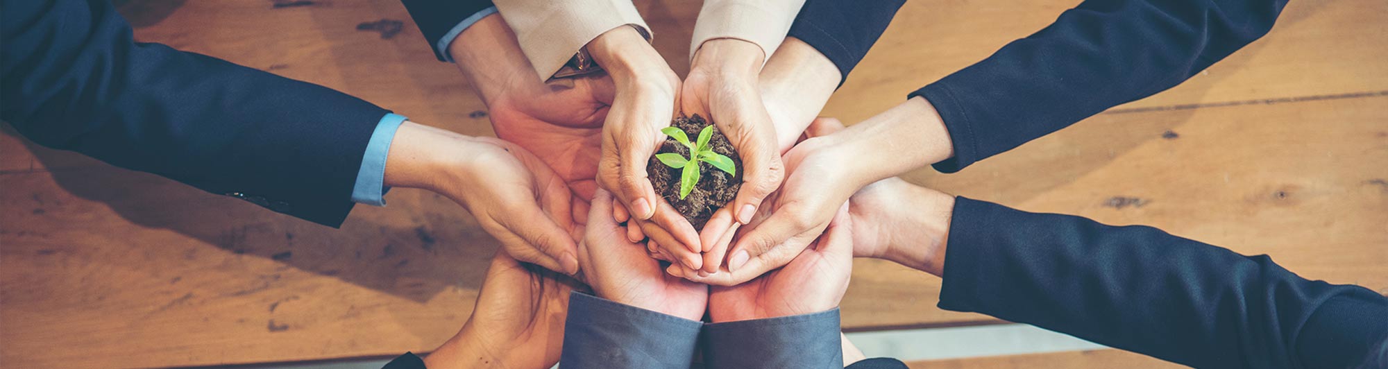 blogbeitrag_greenwashing